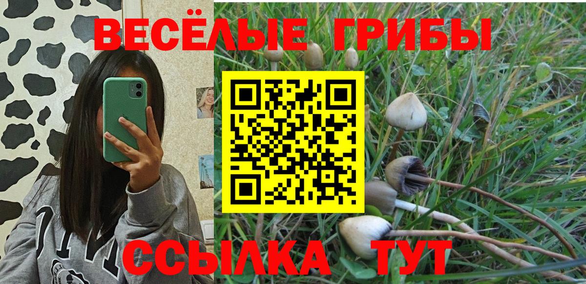 Псилоцибиновые грибы мухоморы  Вход с VPN  Выборг 
